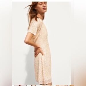 NWT Zara Dress SA18 Sequined Sheath Dress Dusty Pink 0881/116
